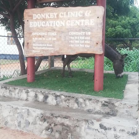 Donkey Clinic And Education Center Apartment Mannar Exterior photo